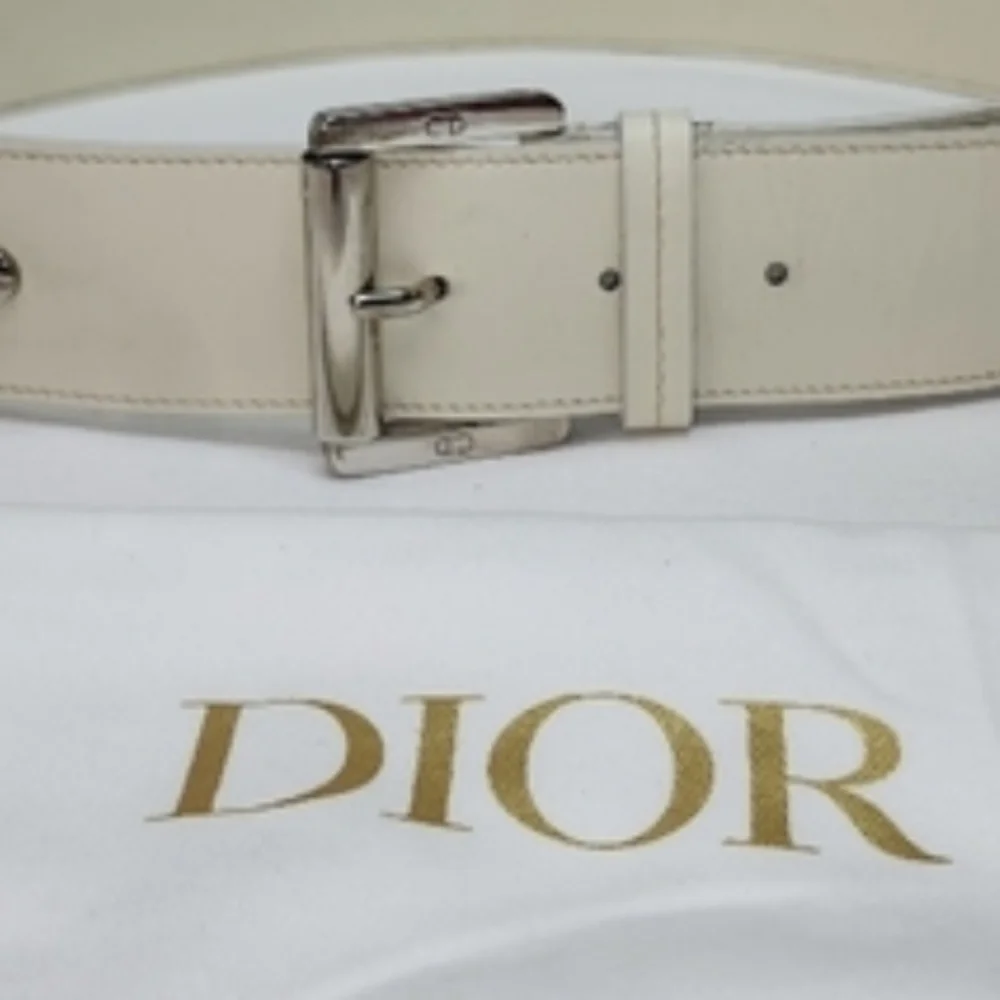 Dior authentic christian